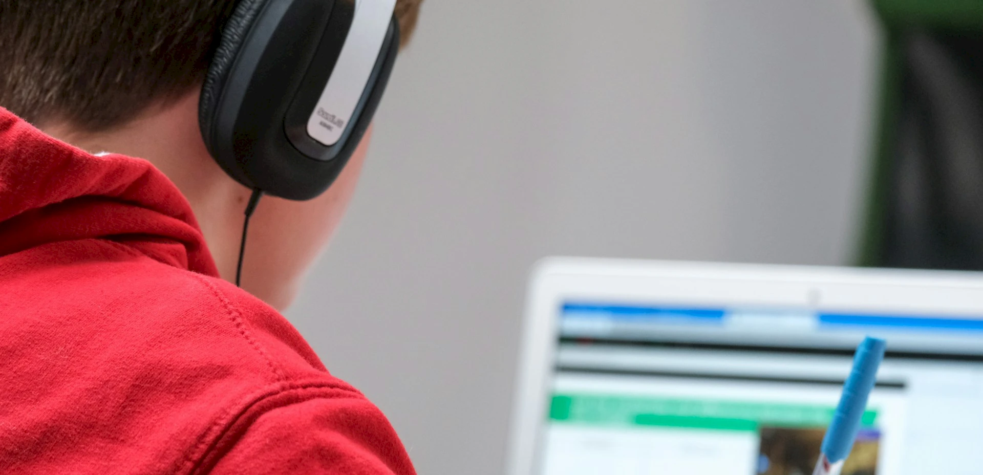 Moodle LMS Consultation